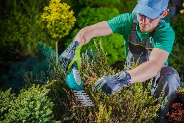 landscaping services Painesville